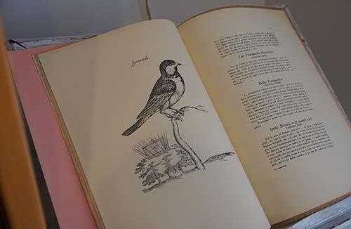 libri-naturalistici2 libri-naturalistici2