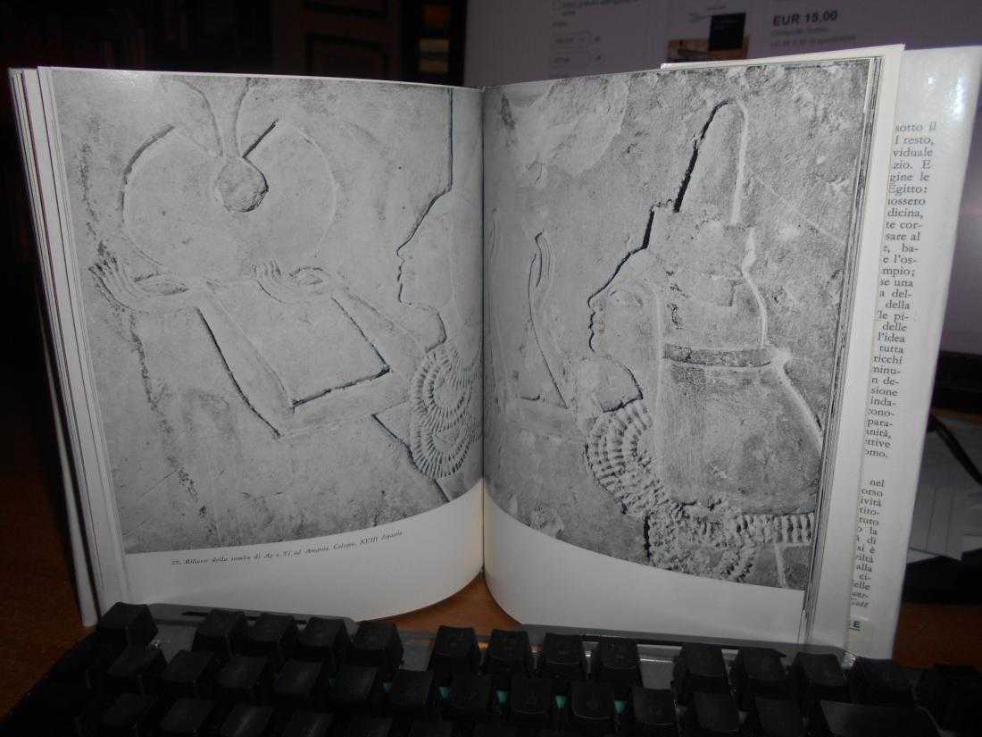 DSCN8847