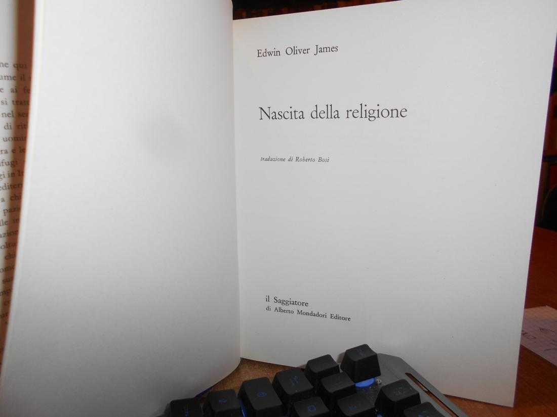 DSCN8878